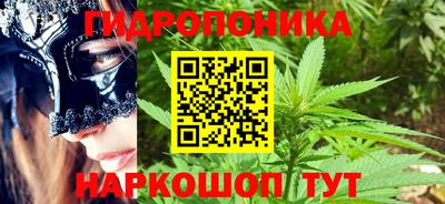шишки Балаково