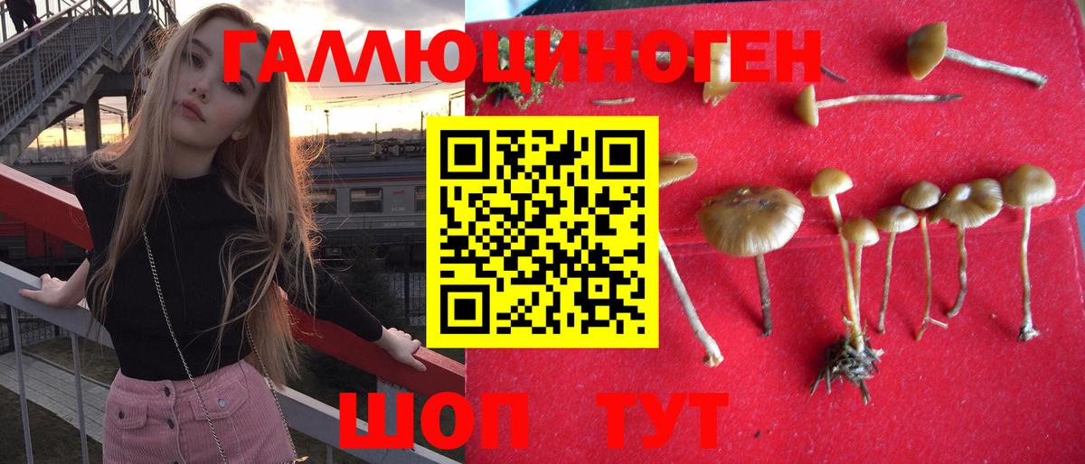 Дубна  Псилоцибиновые грибы мицелий  наркошоп  Вход с VPN 
