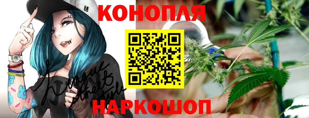 Марихуана гибрид Дубна