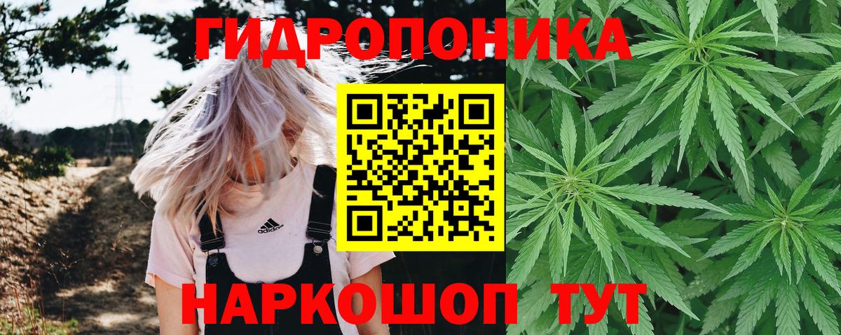 Каннабис VHQ  Конопля ГИДРОПОН  Бошки марихуана White Widow  Дубна  Вход с VPN  МАРИХУАНА гибрид 